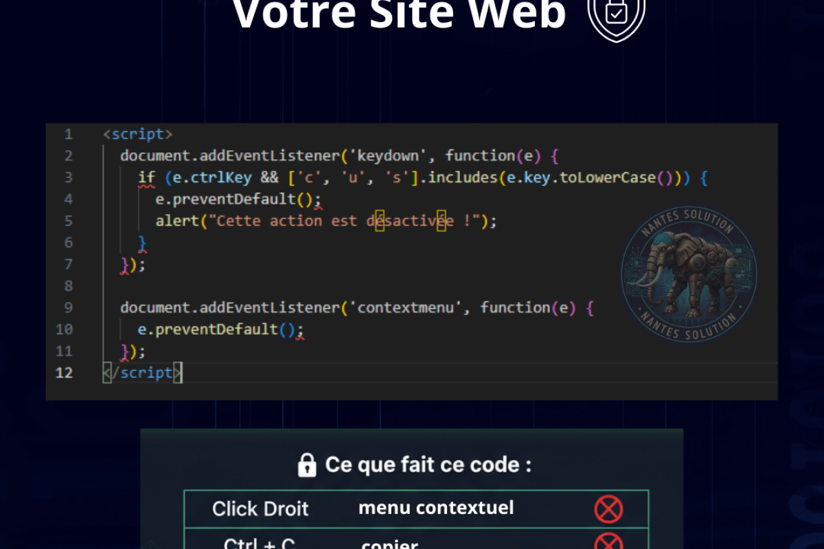 Protection du contenu web