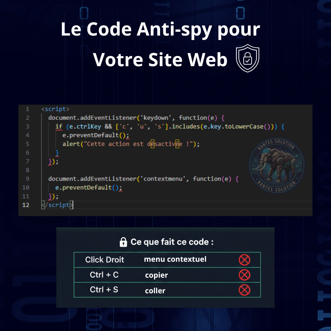 Protection du contenu web